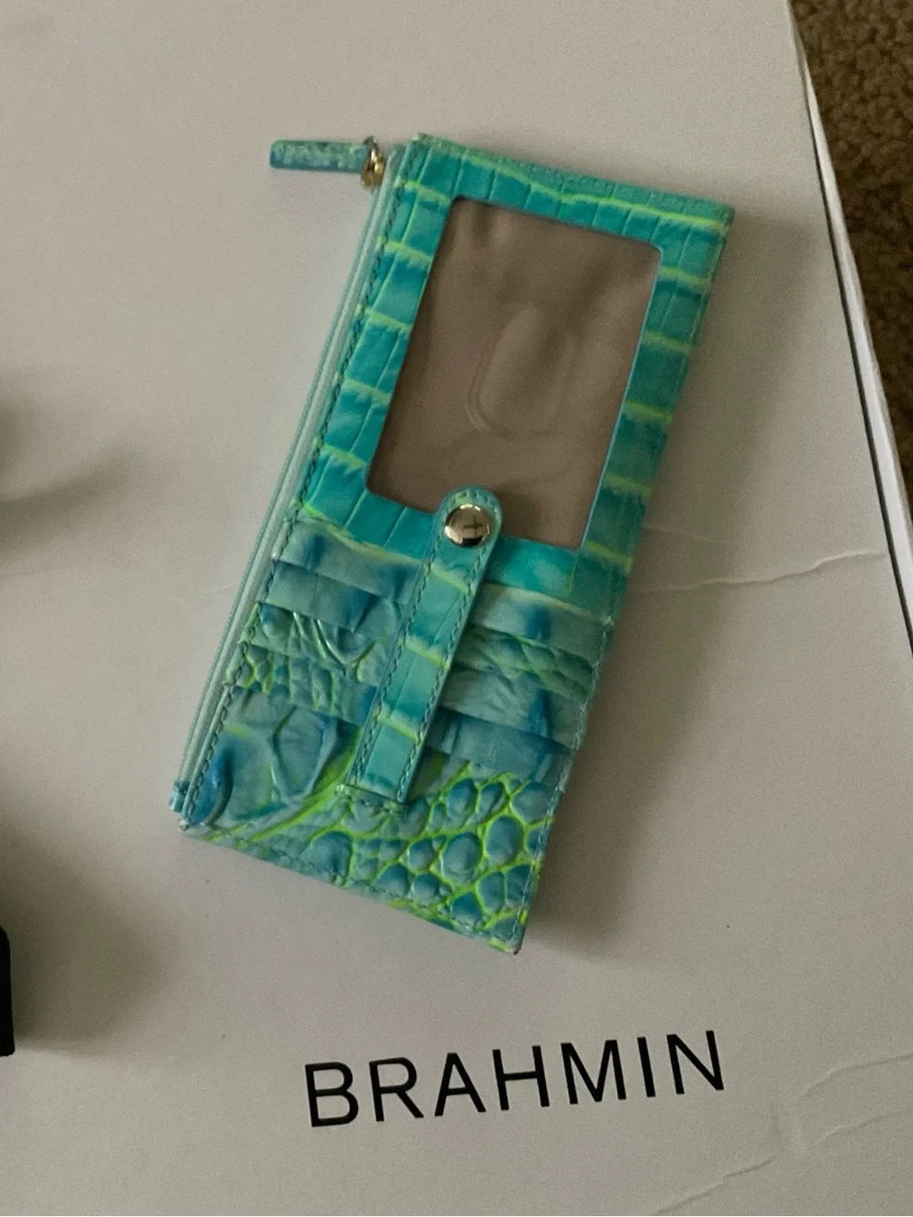 Brahmin storage zipper coin