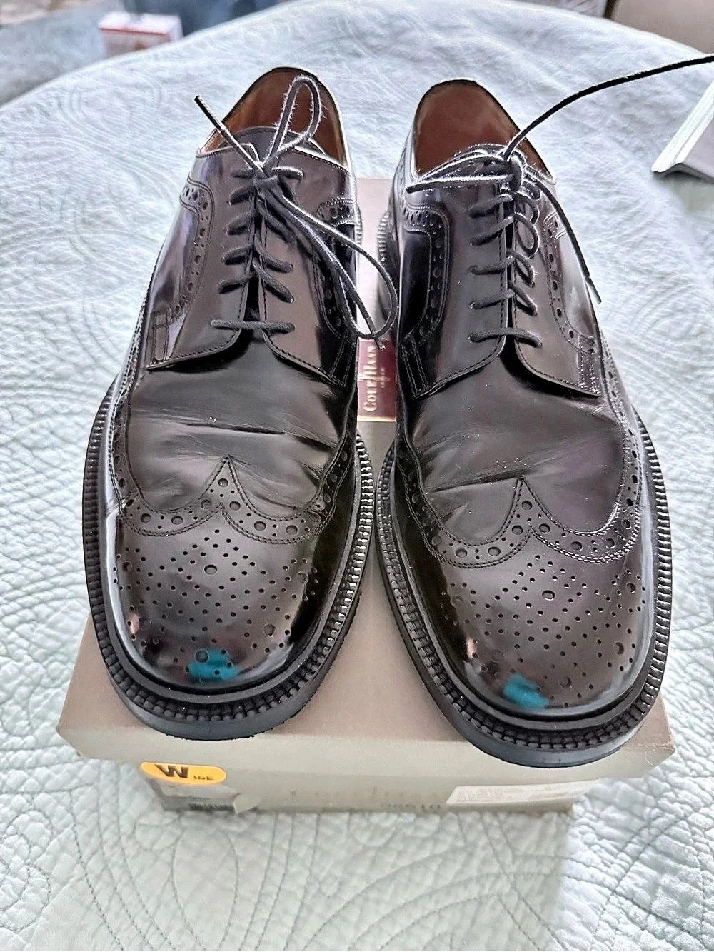 Cole Haan cole haan