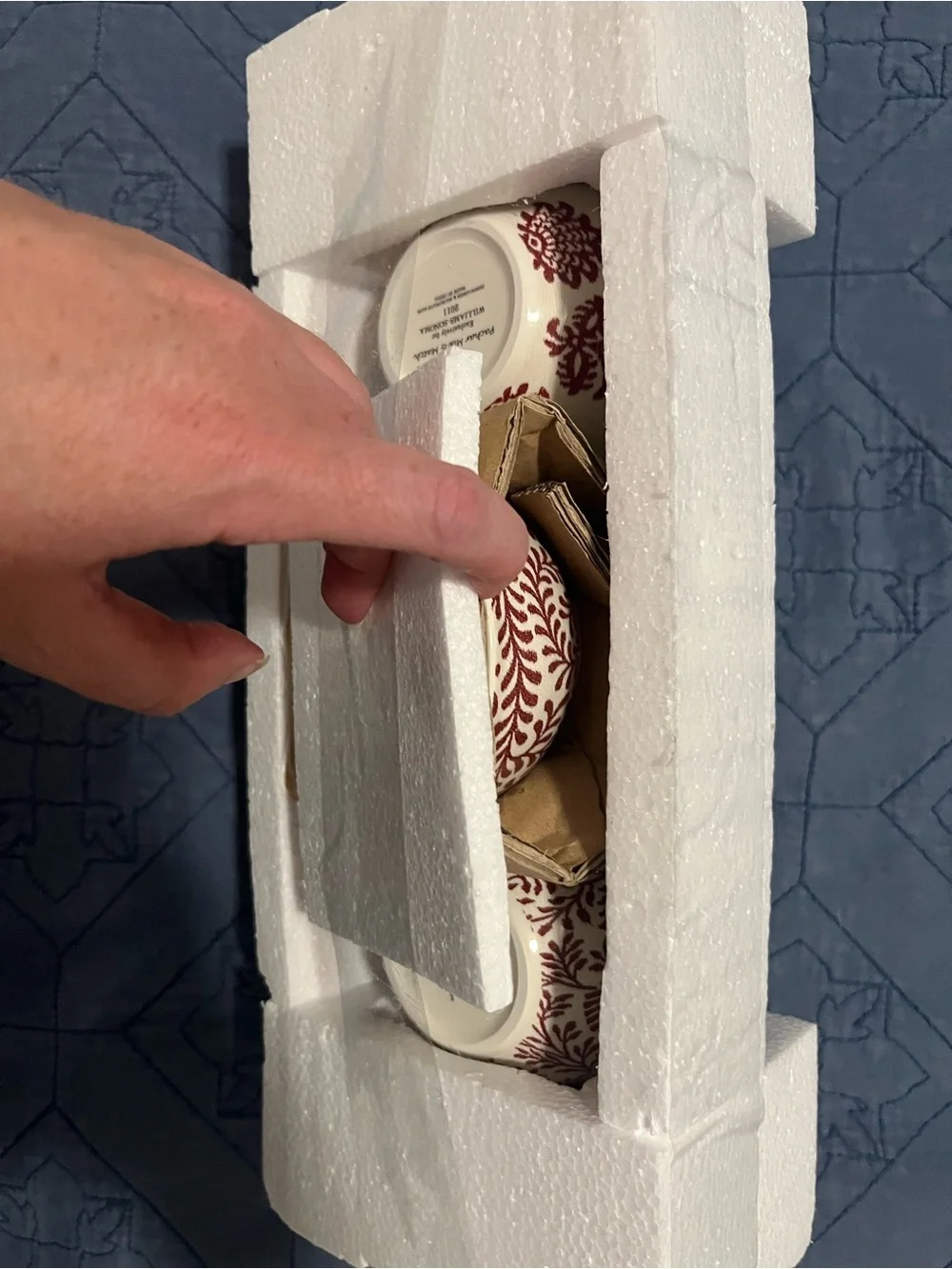 Williams Sonoma brand new