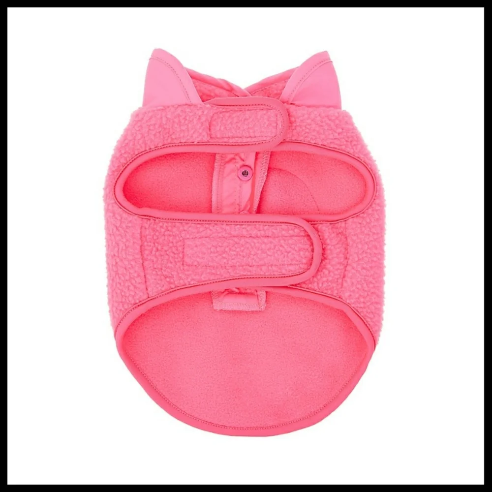 Top Paw your pup