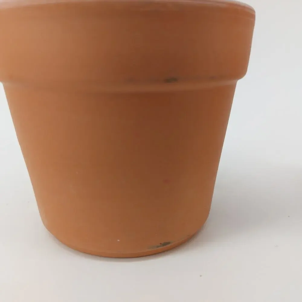 Culina pottery inventory terra