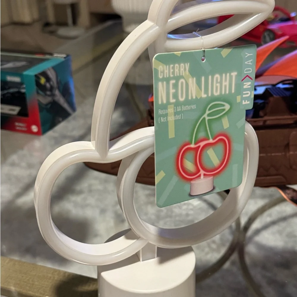 FUN DAY neon light