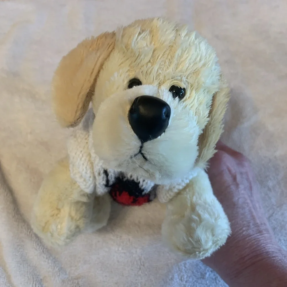N/A this webkinz