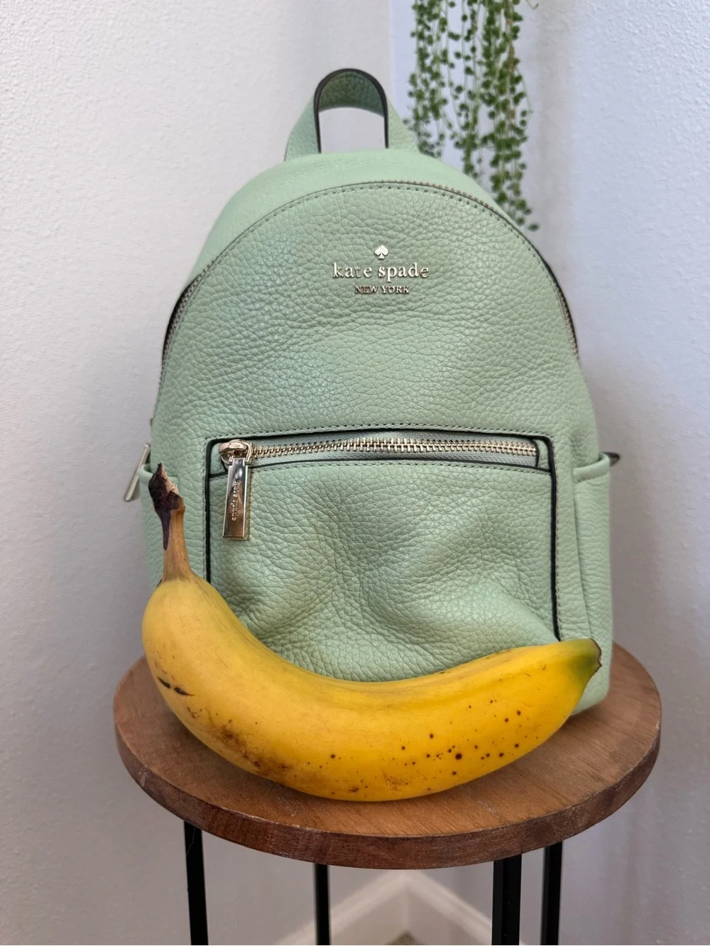 kate spade super cute