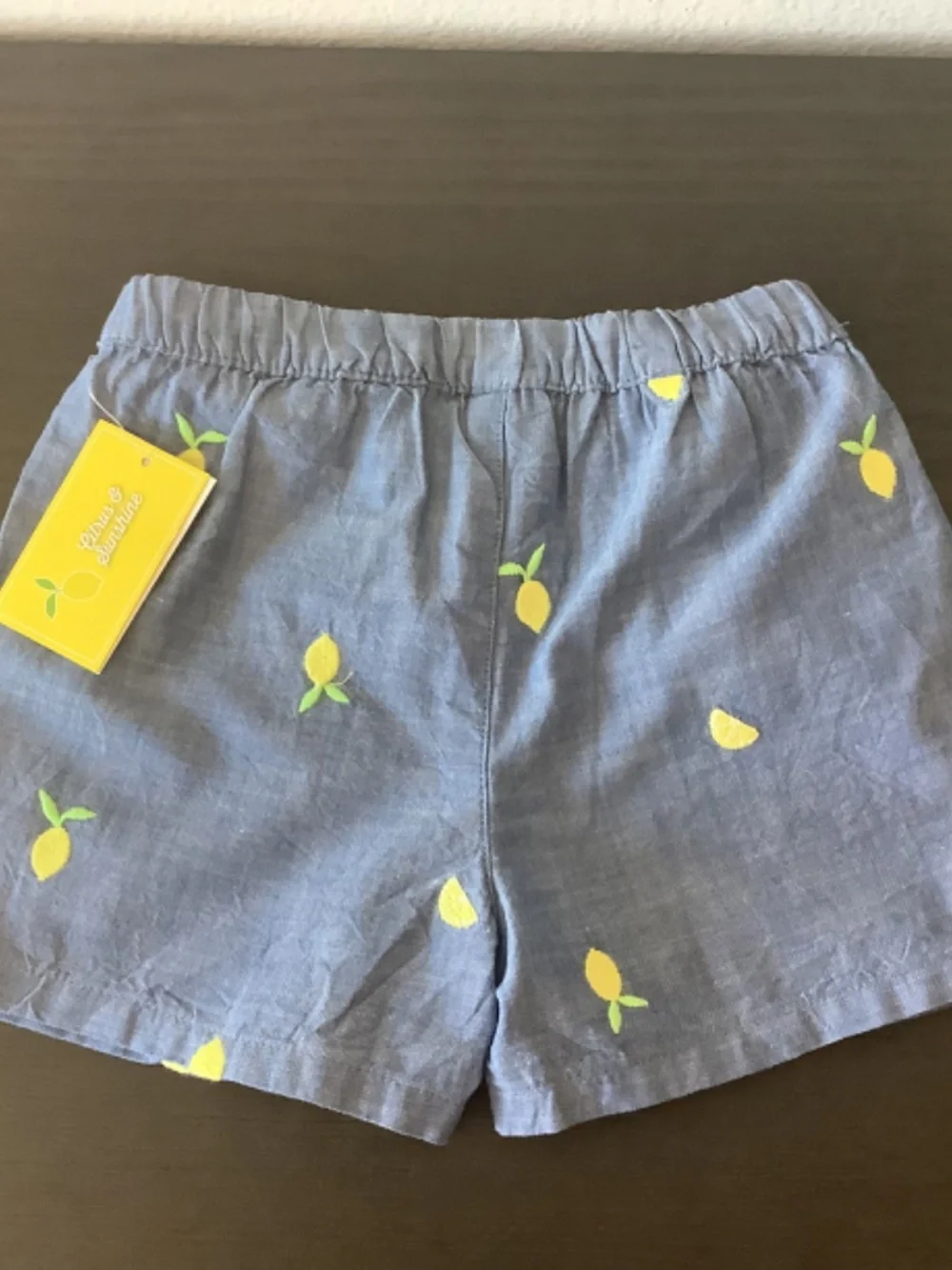 Gymboree girls embroidered