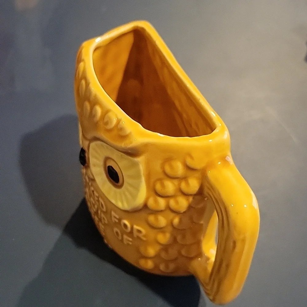 N/A owl humorous