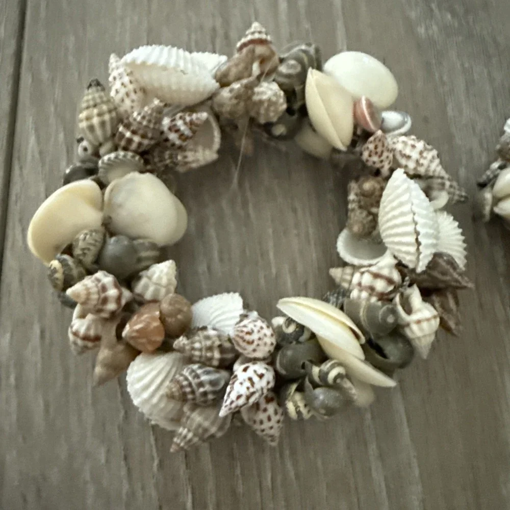 Source Unknown set seashell