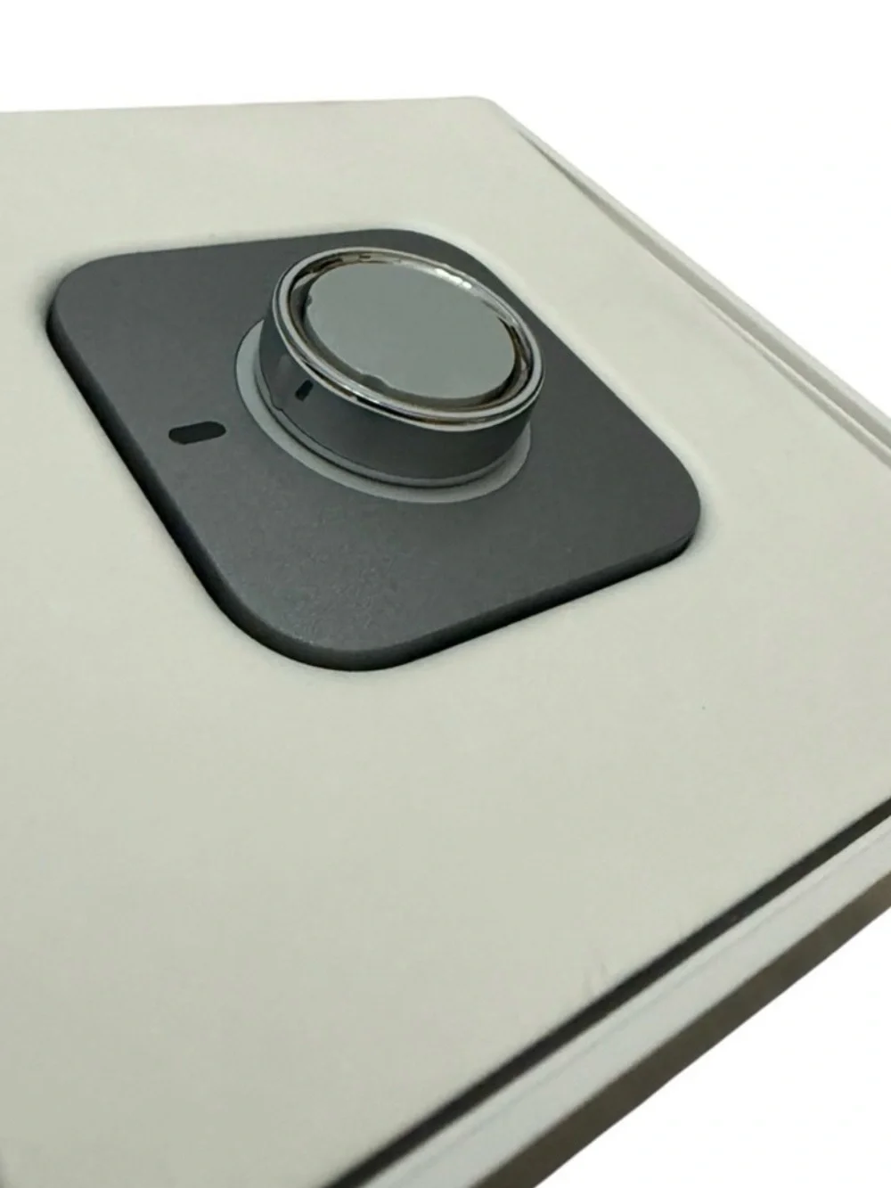 Oura apple silver