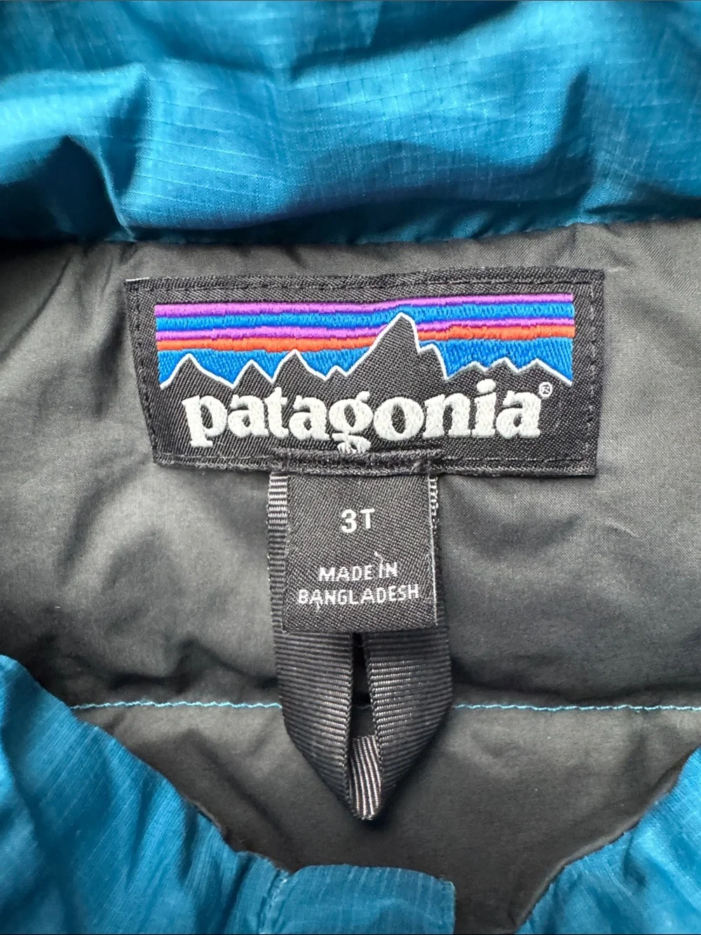 Patagonia lightweight insulated