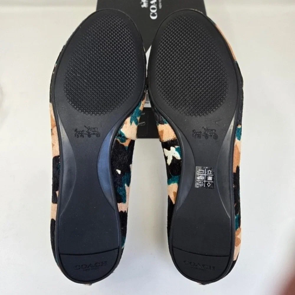 Coach brand model