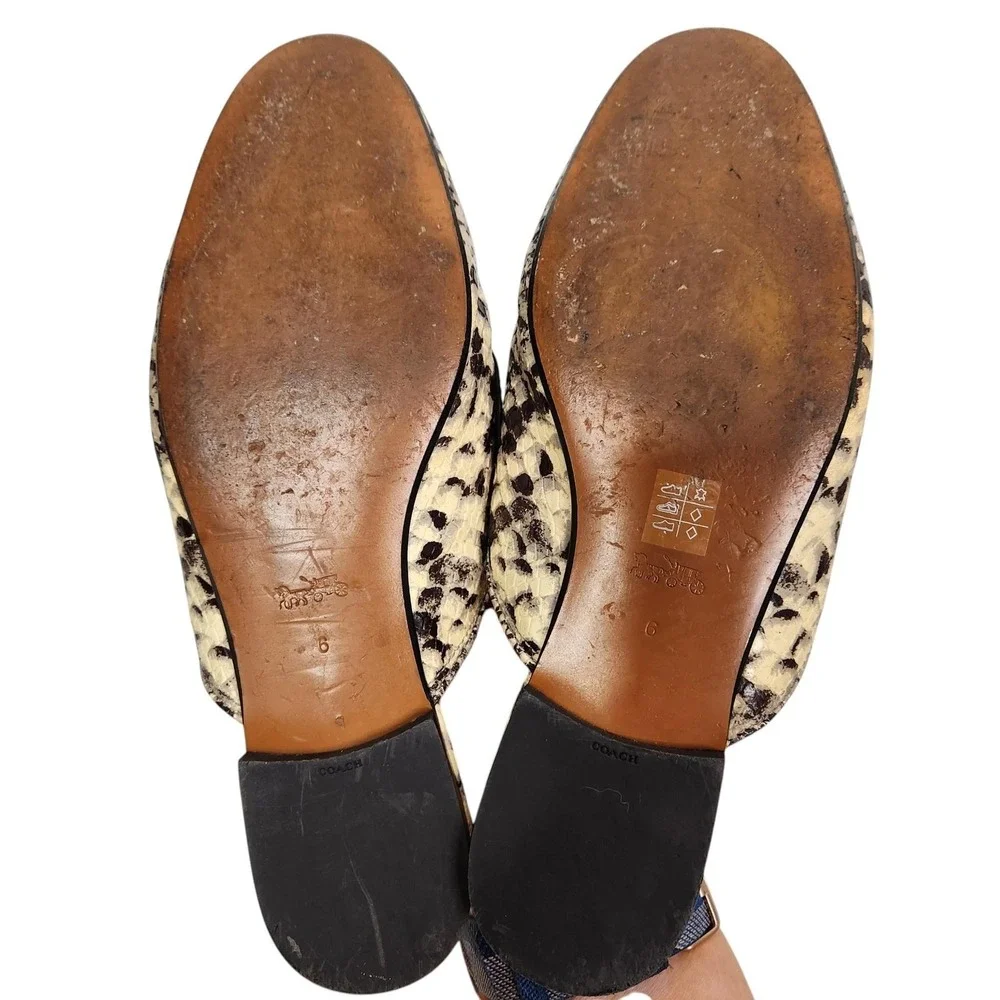 Coach shoes womens