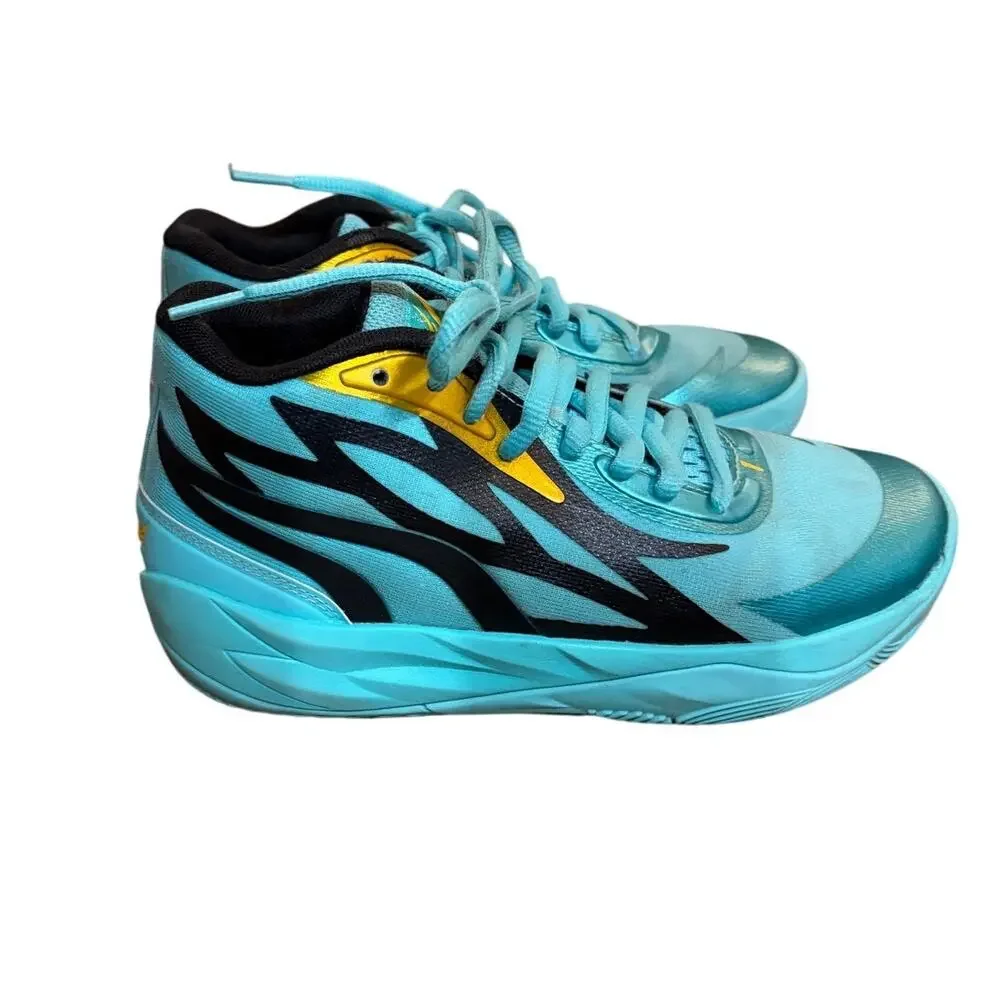 Puma sold as