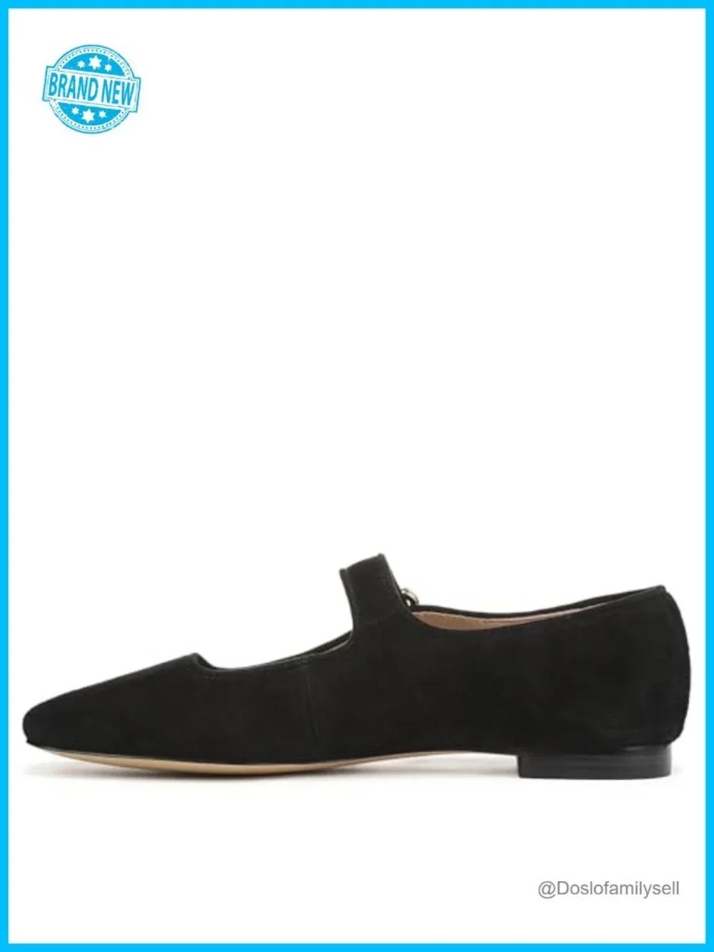 Sam Edelman Michaela Mesh Ballet Flats Pointed Toe Buckle Mary Jane Flats