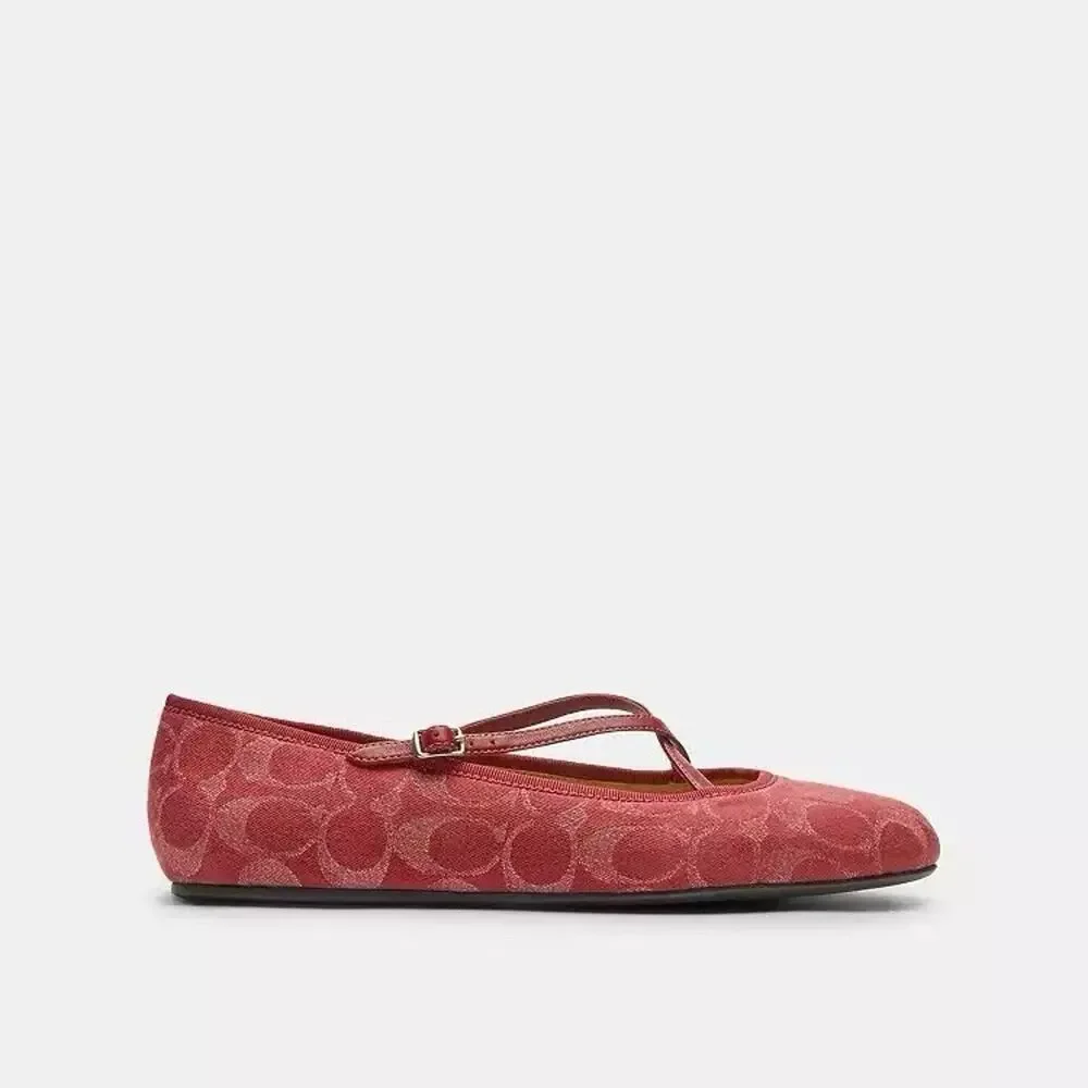 Coach brand new
