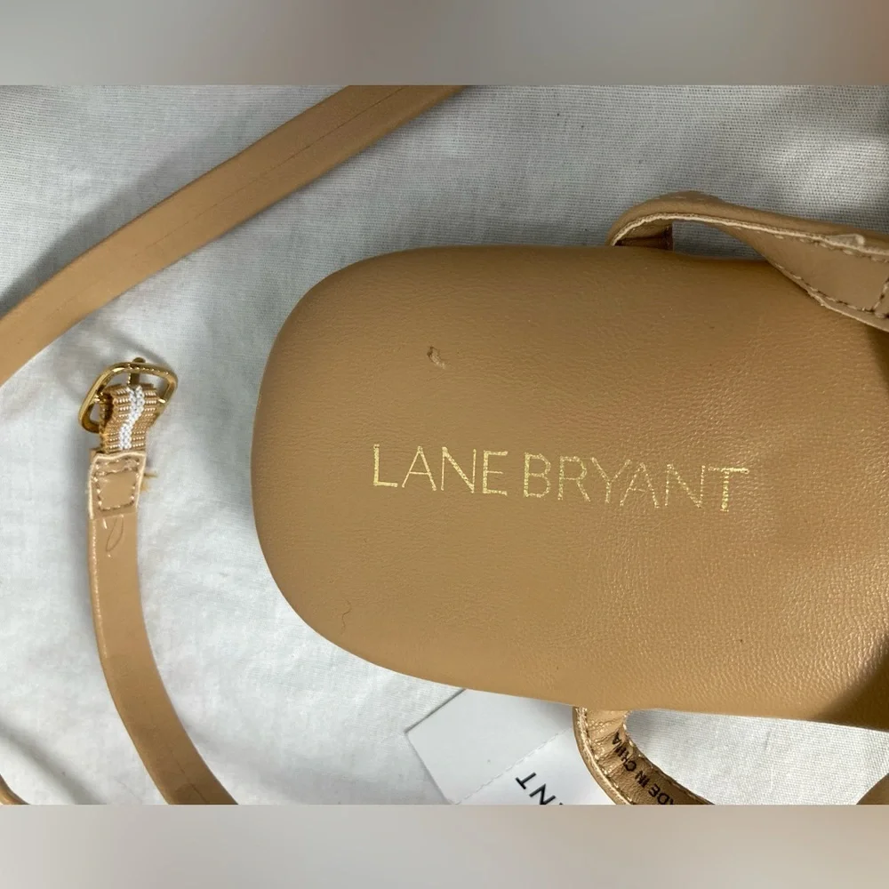 Lane Bryant 13oz sits little
