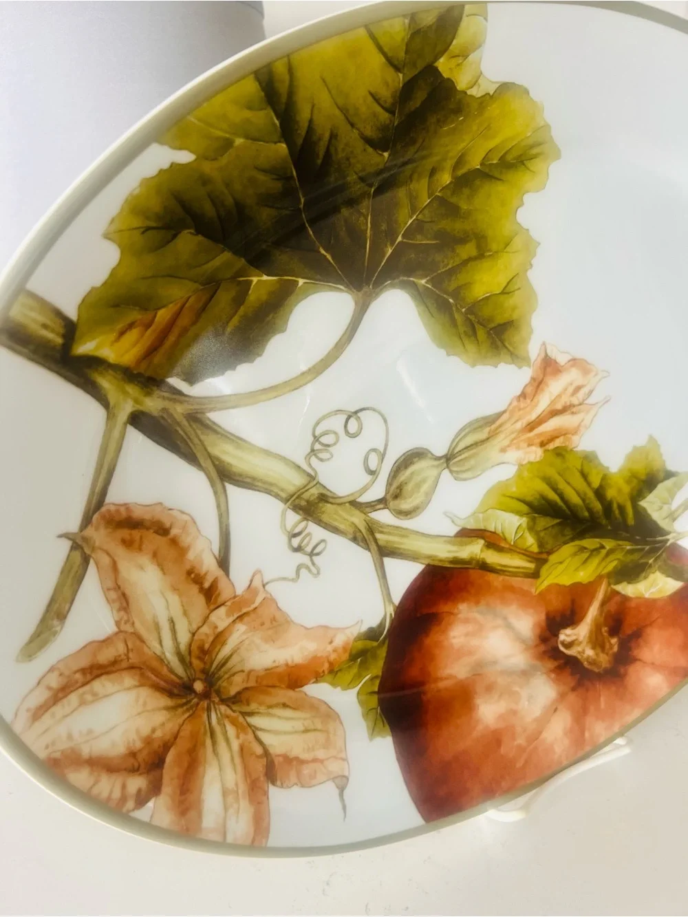 Williams Sonoma Botanical Pumpkin Oval Serving Platter 19.5” Porcelain Fall