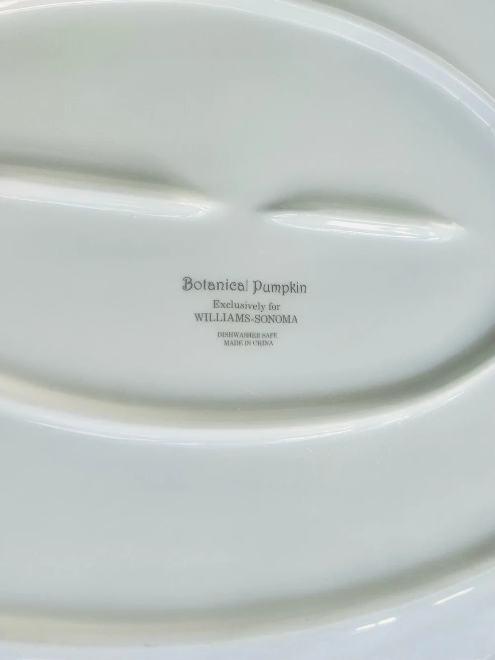 Williams Sonoma Botanical Pumpkin Oval Serving Platter 19.5” Porcelain Fall