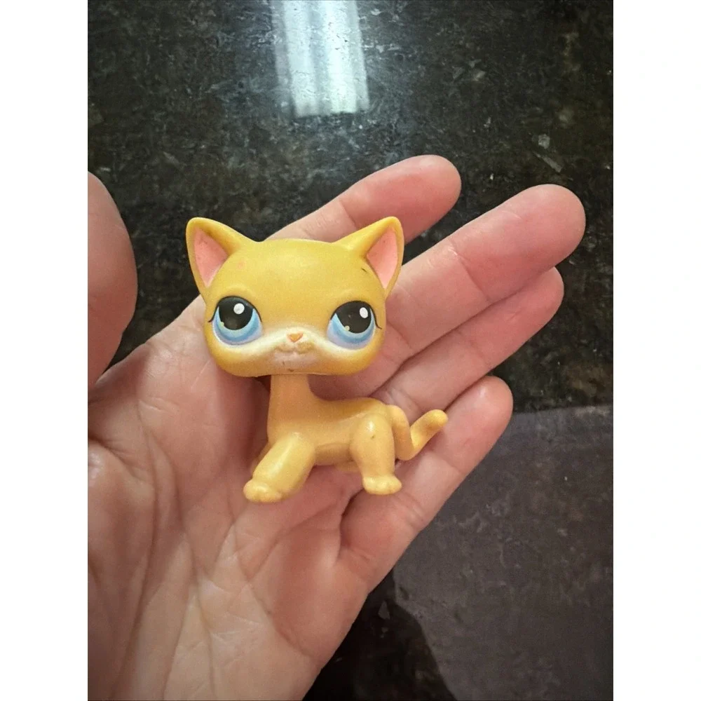 Hasbro no flaws