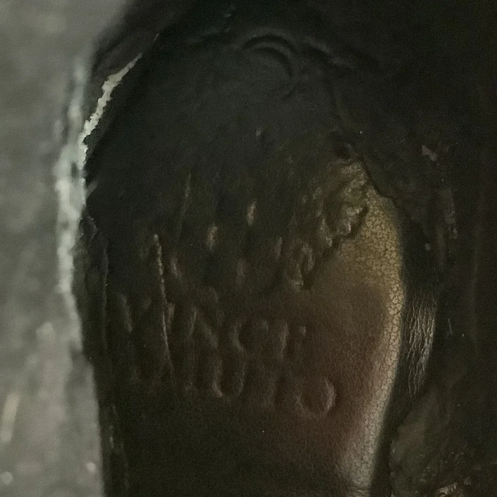 Vince Camuto vince camuto