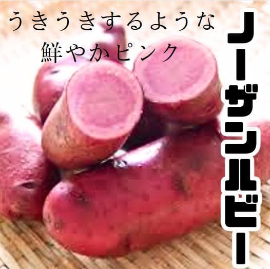Tomo-sama's Requested Product Page (10 Northern Ruby Apples)